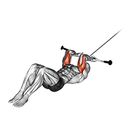 Cable lying triceps extension v. 2 animation