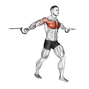 Cable middle fly animation