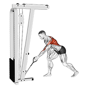 Cable one arm bent over row animation