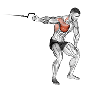 Cable one arm lateral bent-over animation