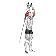 Cable overhead triceps extension (rope attachment) animation