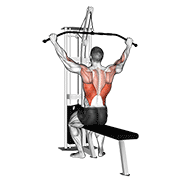Cable pulldown (pro lat bar) animation