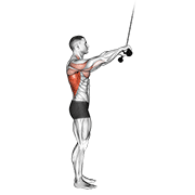 Cable pushdown (straight arm) v. 2 animation