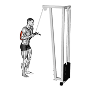 Cable pushdown animation