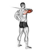 Cable rear drive animation