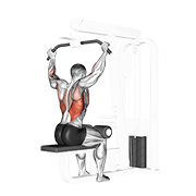 Cable rear pulldown animation