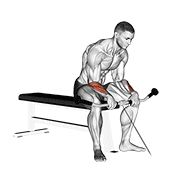 Cable reverse wrist curl animation