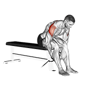 Cable seated rear lateral raise animation