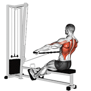 Cable seated wide-grip row animation