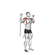 Cable shoulder press animation