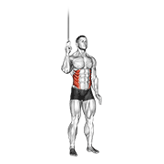Cable side crunch animation