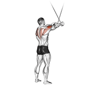 Cable standing cross-over high reverse fly animation
