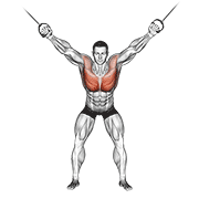 Cable standing fly animation