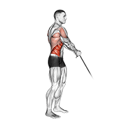 Cable standing lift animation