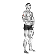 Cable standing shoulder external rotation animation