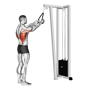 Cable straight arm pulldown (with rope) animation