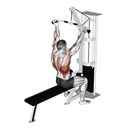 Cable underhand pulldown animation
