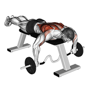 Cambered bar lying row animation