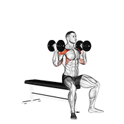 Dumbbell arnold press v. 2 animation