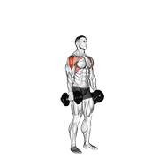 Dumbbell cuban press animation