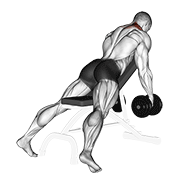 Dumbbell decline shrug v. 2 animation