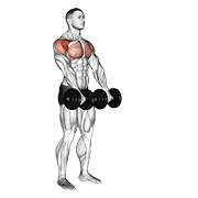 Dumbbell front raise animation