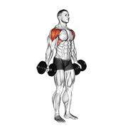 Dumbbell full can lateral raise animation