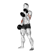 Dumbbell hammer curl animation