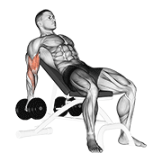 Dumbbell incline biceps curl animation