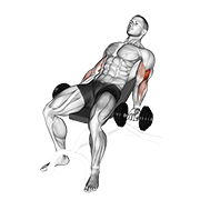 Dumbbell incline curl v. 2 animation