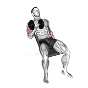 Dumbbell incline curl animation