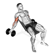 Dumbbell incline inner biceps curl animation