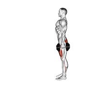 Dumbbell lunge animation