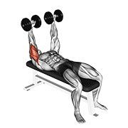 Dumbbell lying extension (across face) animation