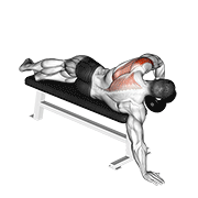 Dumbbell lying one arm deltoid rear animation