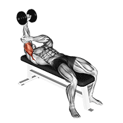 Dumbbell lying one arm pronated triceps extension animation