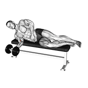 Dumbbell lying pronation animation