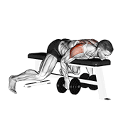 Dumbbell lying rear lateral raise animation