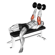 Dumbbell neutral grip bench press animation