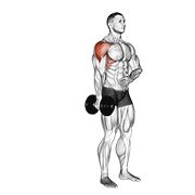 Dumbbell one arm lateral raise animation