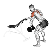 Dumbbell one arm reverse fly (with support) animation