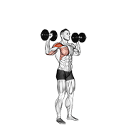 Dumbbell one arm shoulder press animation