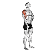 Dumbbell one arm upright row animation