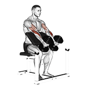 Dumbbell peacher hammer curl animation