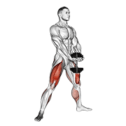 Dumbbell plyo squat animation