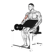 Dumbbell preacher curl animation