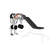 Dumbbell rear lateral raise (support head) animation