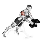 Dumbbell reverse fly animation