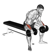 Dumbbell reverse wrist curl animation