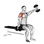 Dumbbell seated alternate front raise animation